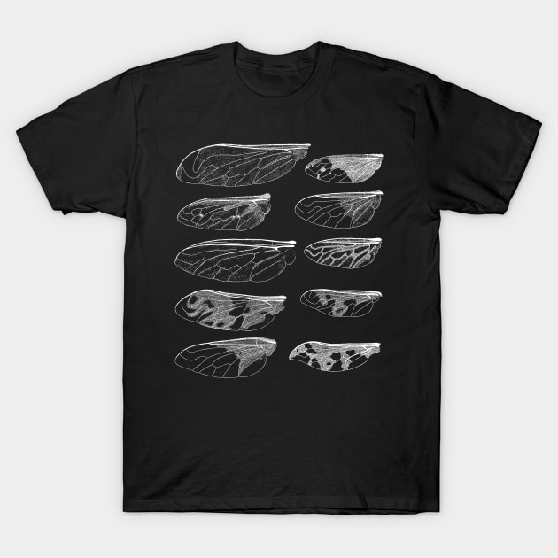 Mosquito Wings T-Shirt by encycloart